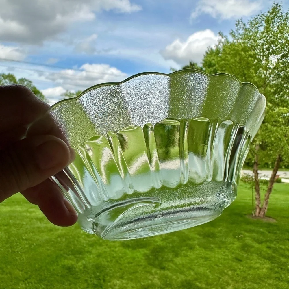 SET/6, NOVACRISA MEXICO, WILD ROSE FLORAL BLOSSOM, CLEAR BOWL WITH FROSTED RIM